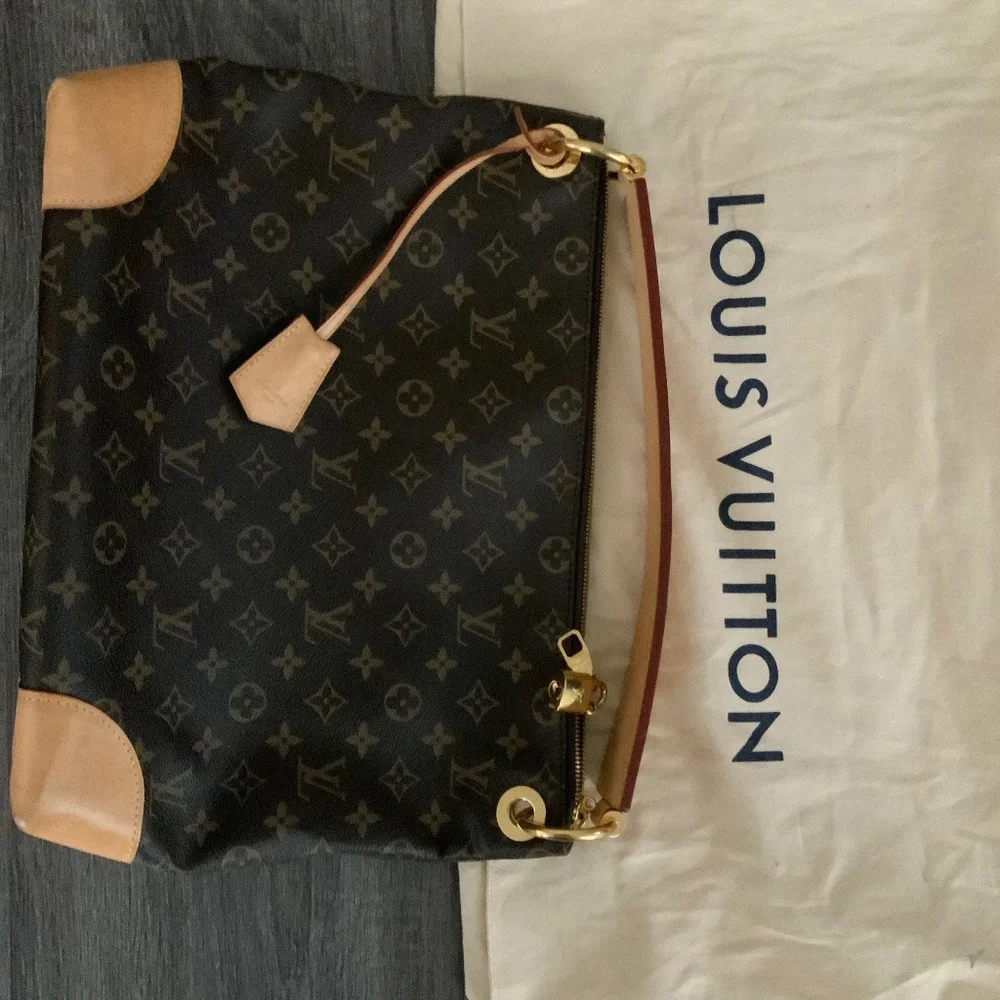 Louis Vuitton Bag - Picture 1 of 3